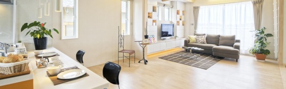 江戸川区下篠崎町 新築一戸建て イメージ